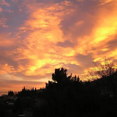 بيت ضيافة Lifestyle Holiday