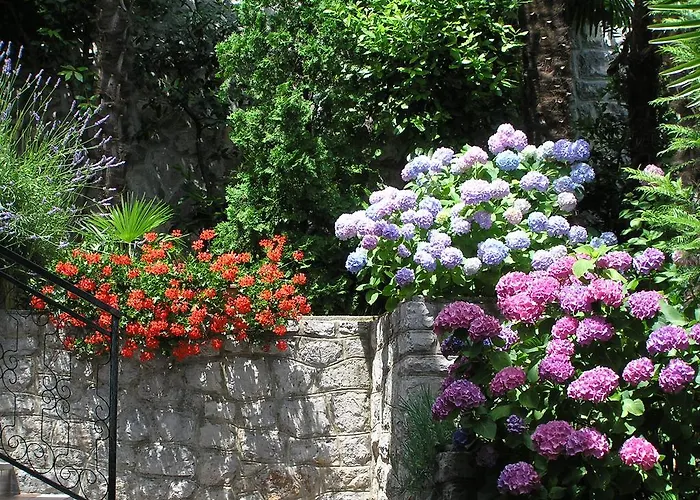 Gasthof Lifestyle 3*